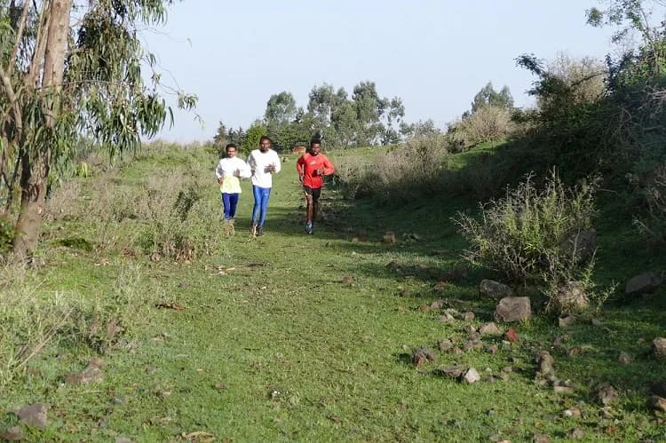 Addis marathon
